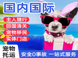 郴州北湖空运国际宠物托运 【国